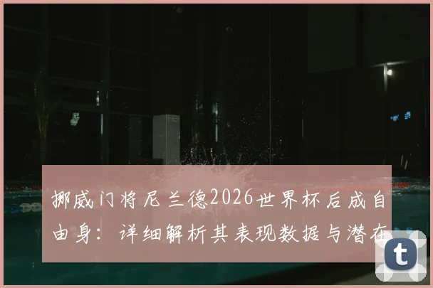 挪威门将尼兰德2026世界杯后成自由身：详细解析其表现数据与潜在下家去向，附职业生涯回顾