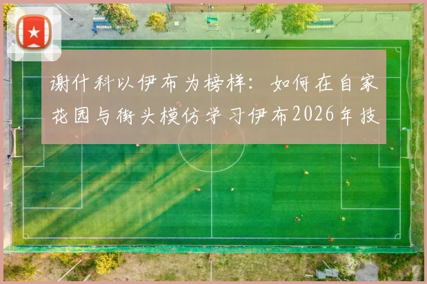 谢什科以伊布为榜样:如何在自家花园与街头模仿学习伊布2026年技术动作