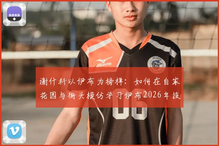 谢什科以伊布为榜样：如何在自家花园与街头模仿学习伊布2026年技术动作